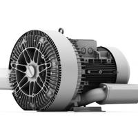Воздуходувка вихревая промышленная Elektror 2SD 820 - 50/11,0
